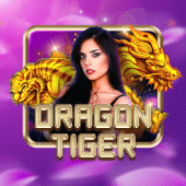 Dragon Tiger live table icon on ph365 pro apk